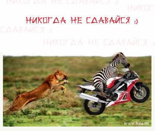 Открытка никогда не сдаваться Открытка никогда не сдаваться